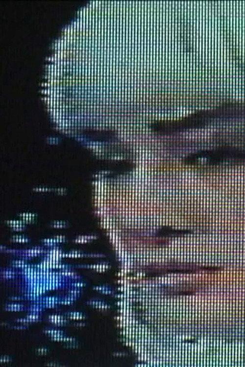 Taiwan Video Club 1999 official movie poster