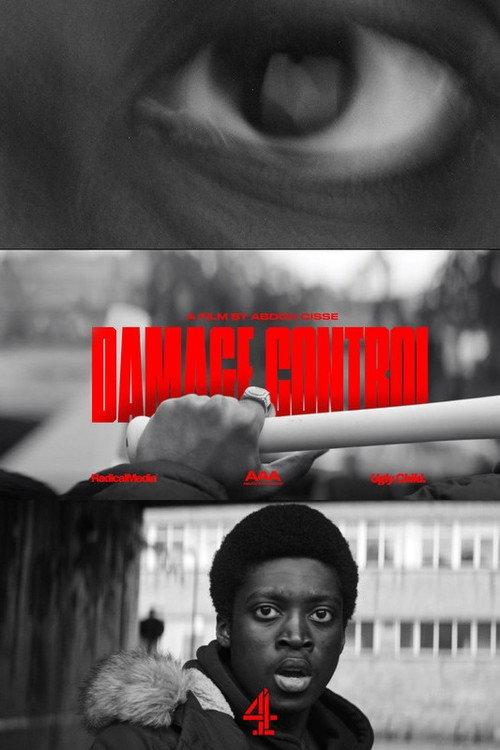 Damage Control (Enough) 2020 official movie poster