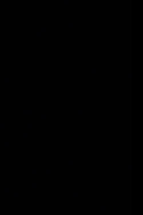 The Black Screen Film 2024 official movie poster