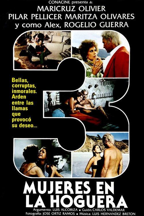 Three Women in a Bonfire 1979 official movie poster
