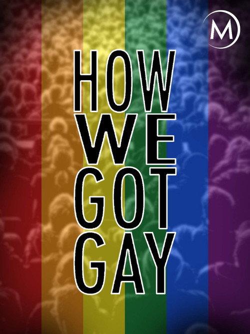 How We Got Gay 2013 official movie poster