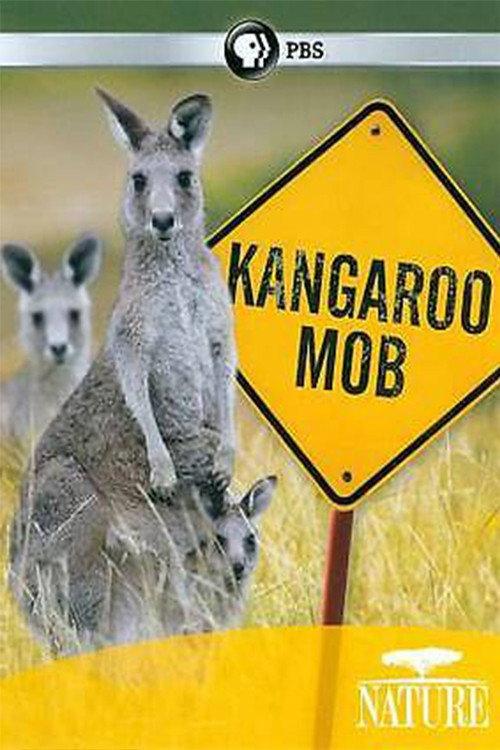 Kangaroo Mob 2011 official movie poster