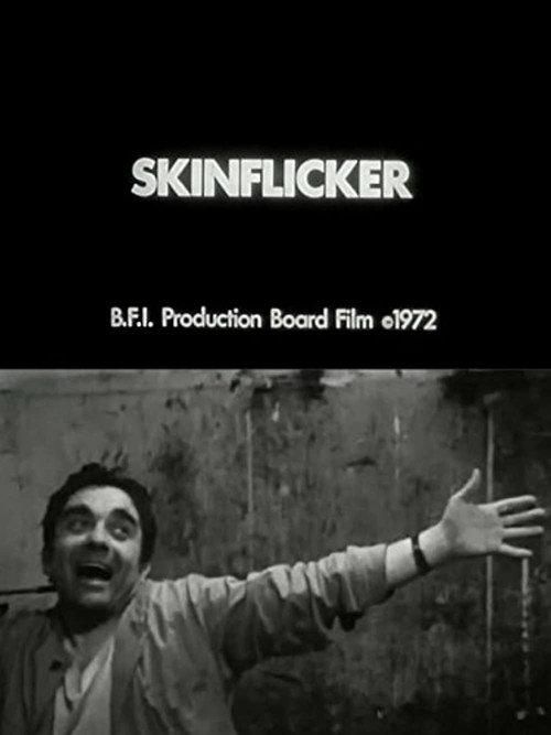 Skinflicker 1972 official movie poster
