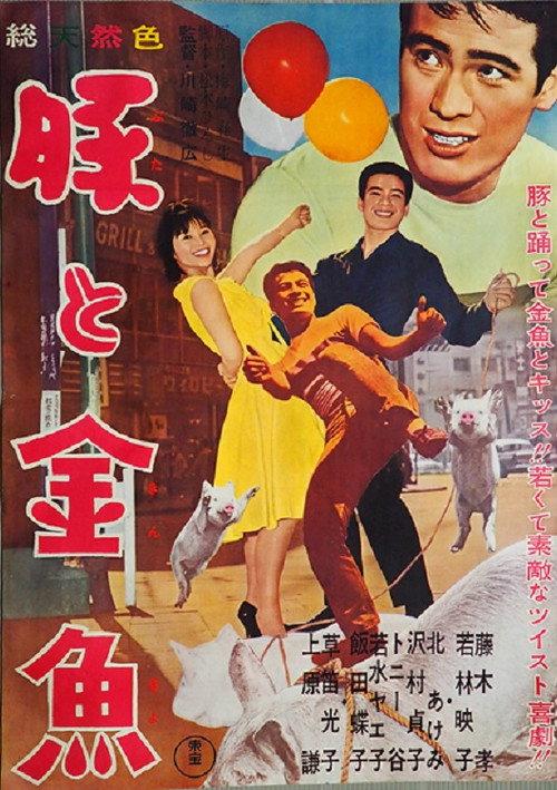 Pig and Goldfish 1962 official movie poster
