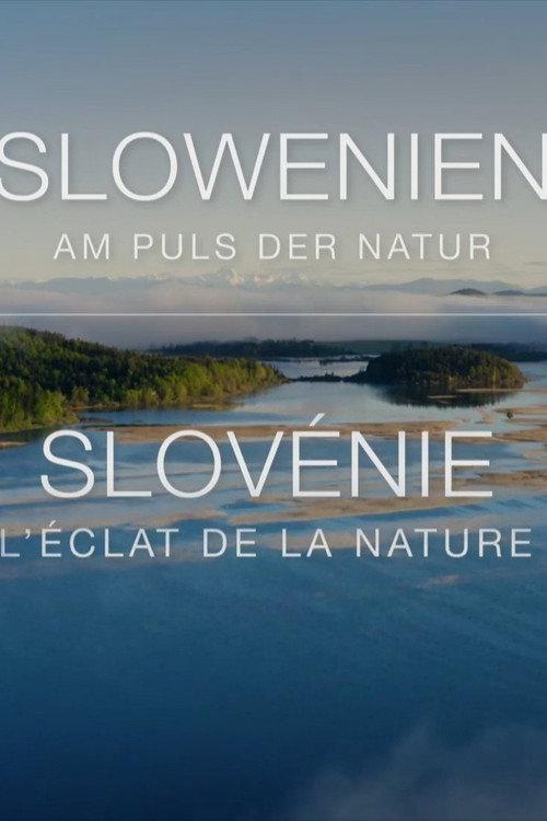 Slovenia - Where Nature Comes First 2022 official movie poster