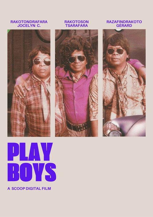 Play Boys 2008 official movie poster