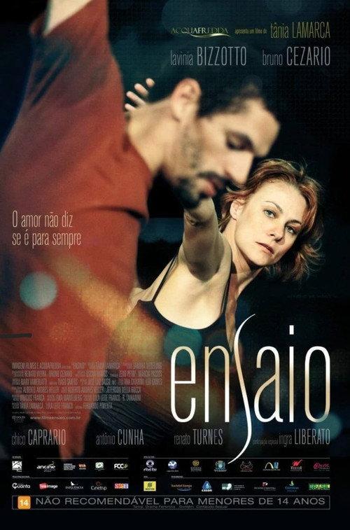 Ensaio 2013 official movie poster