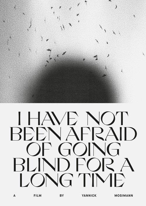 I HAVE NOT BEEN AFRAID OF GOING BLIND FOR A LONG TIME 2022 official movie poster