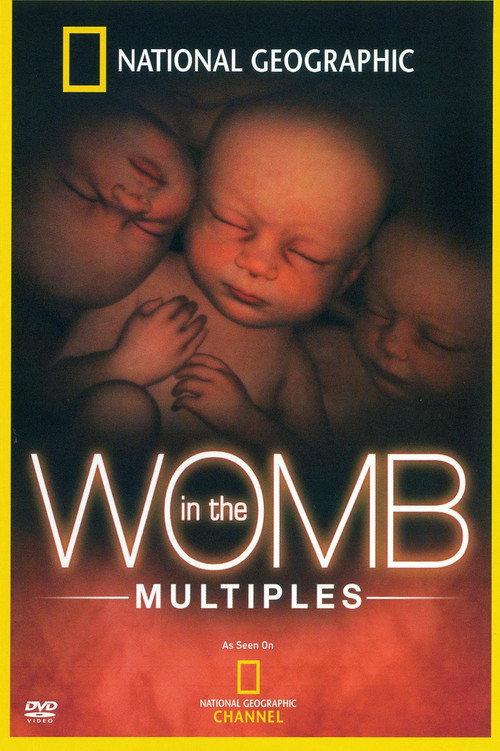 In the Womb: Multiples 2007 official movie poster