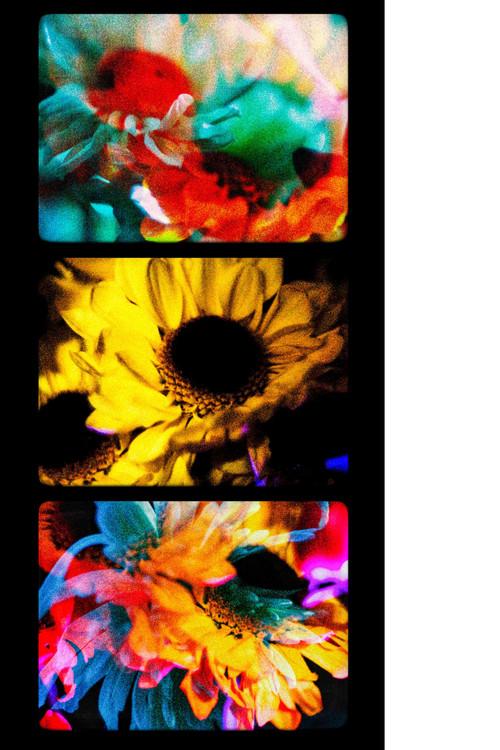 Flowers (II) 2025 official movie poster