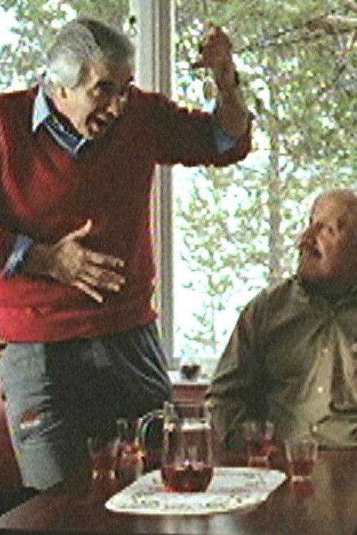 Lappsjukan 2001 official movie poster