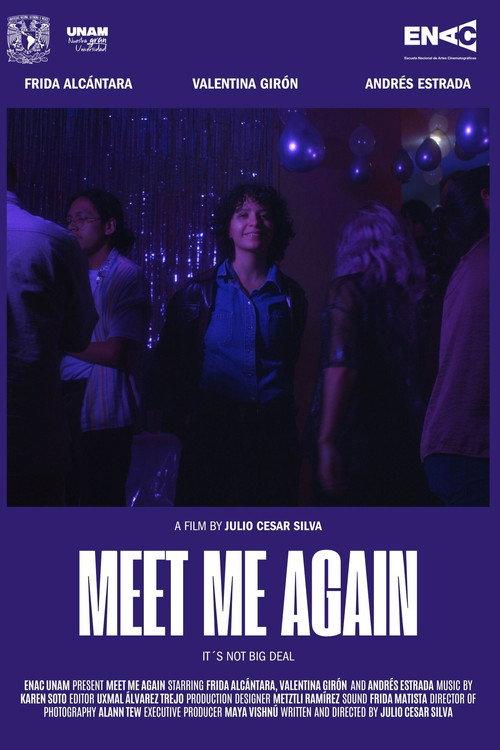 Meet Me Again 2025 official movie poster
