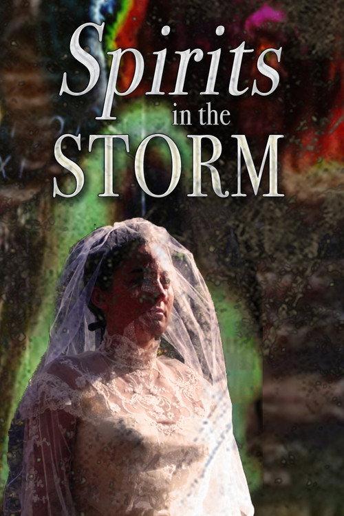 Spirits in the Storm 2019 official movie poster