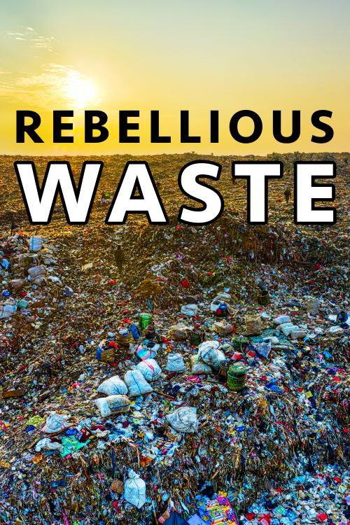 Rebellious Waste 2020 official movie poster
