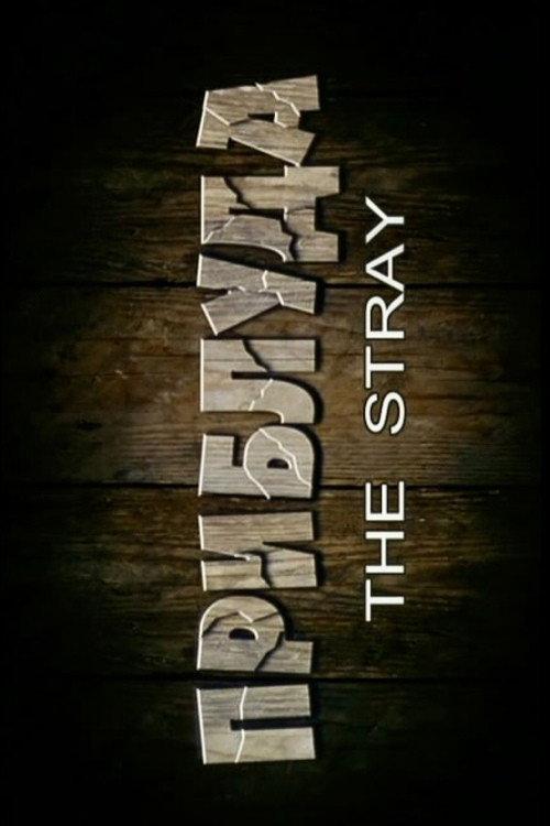 The Stray 2007 official movie poster