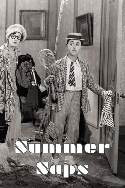 Summer Saps 1929 official movie poster