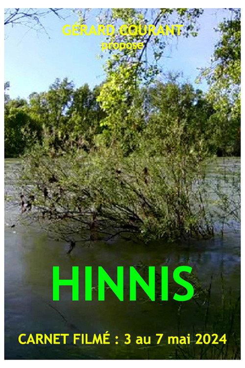 Hinnis 2024 official movie poster