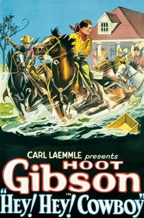 Hey! Hey! Cowboy 1927 official movie poster