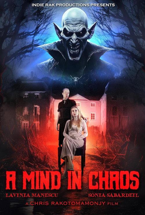 A Mind in Chaos 2025 official movie poster