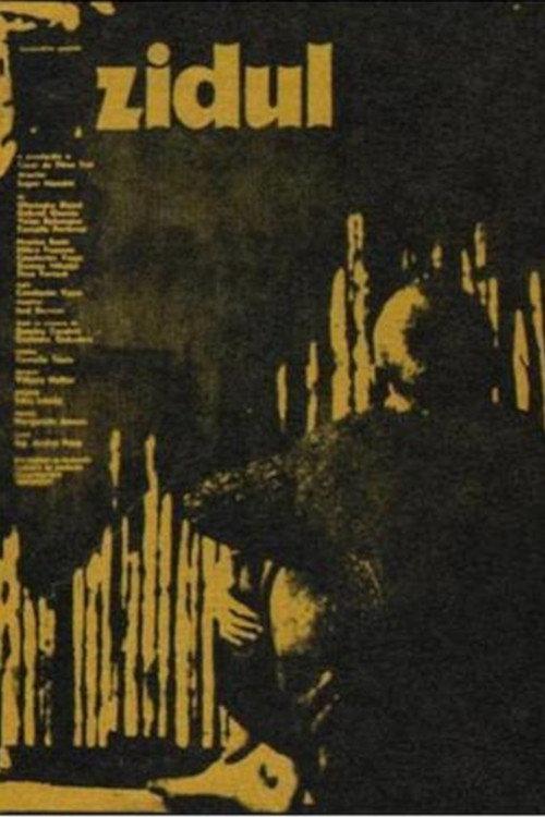 The Wall 1975 official movie poster