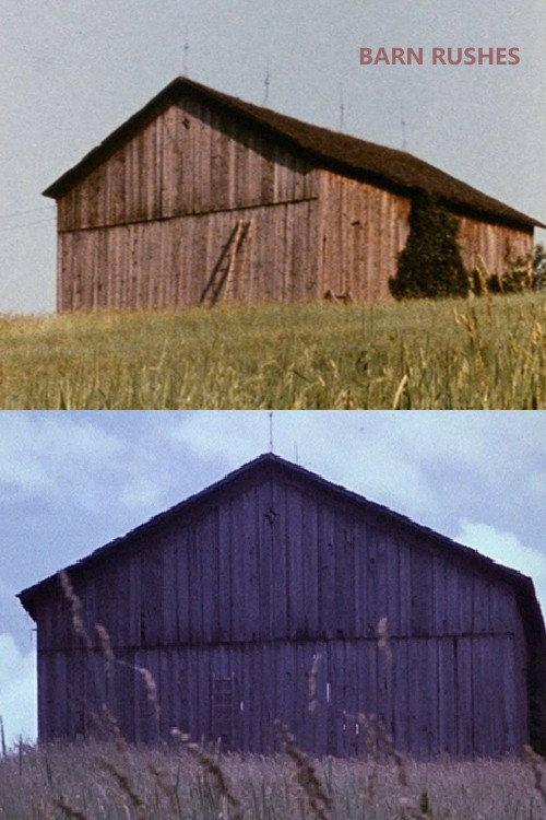 Barn Rushes 1971 official movie poster