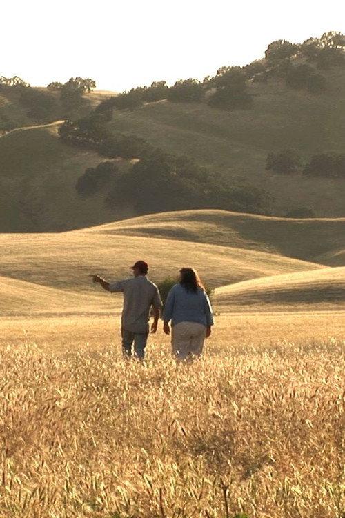 The Last Crop 2016 official movie poster
