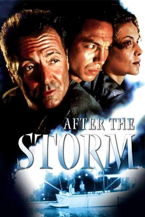 After the Storm 2001 official movie poster