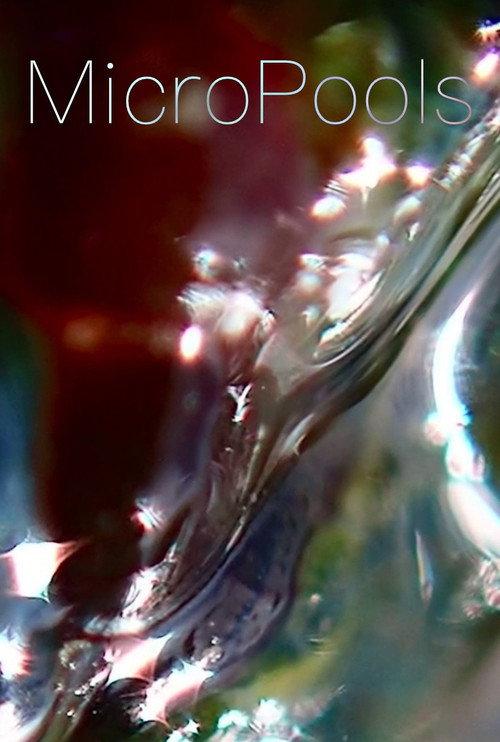 MicroPools 2026 official movie poster