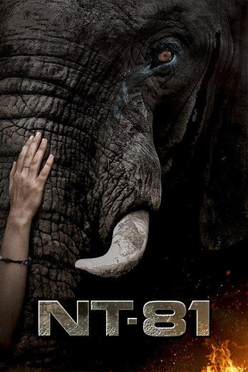 NT-81  official movie poster