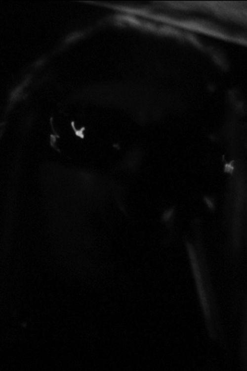 One Roll in the Blackness 2011 official movie poster