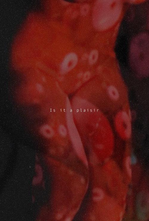Is It A Plaisir 2025 official movie poster