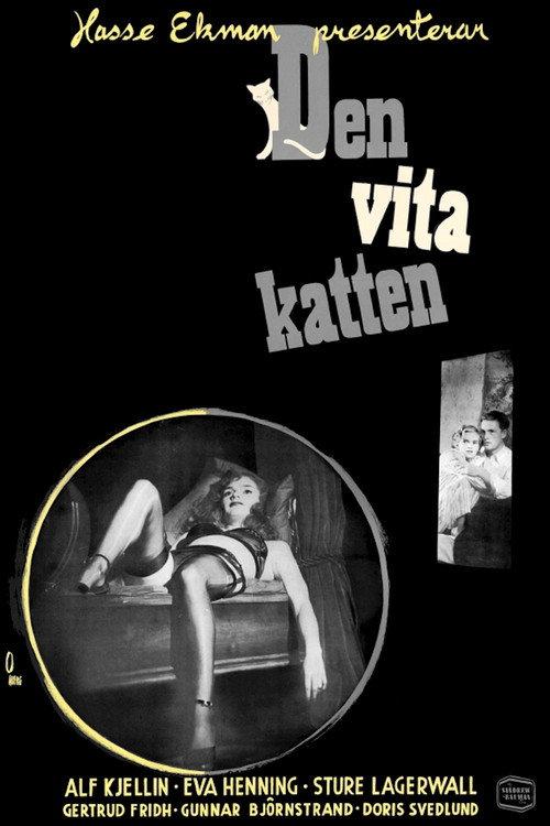 The White Cat 1950 official movie poster