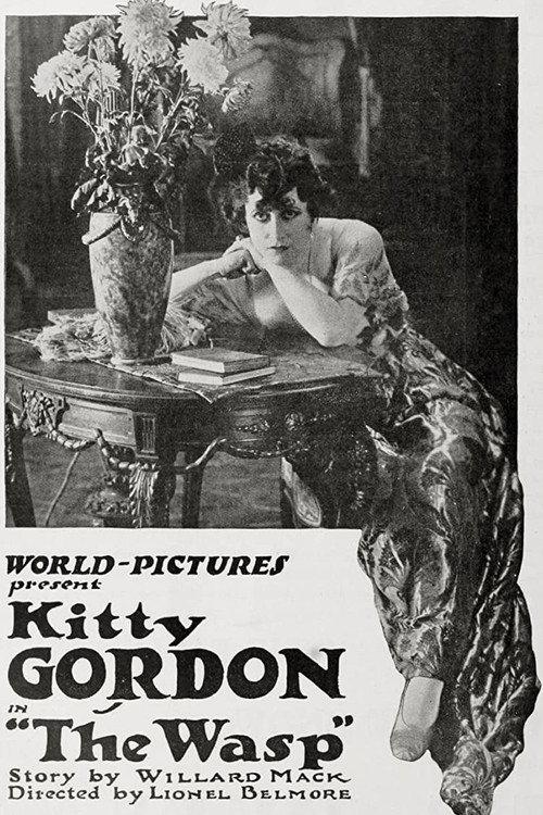 The Wasp 1918 official movie poster