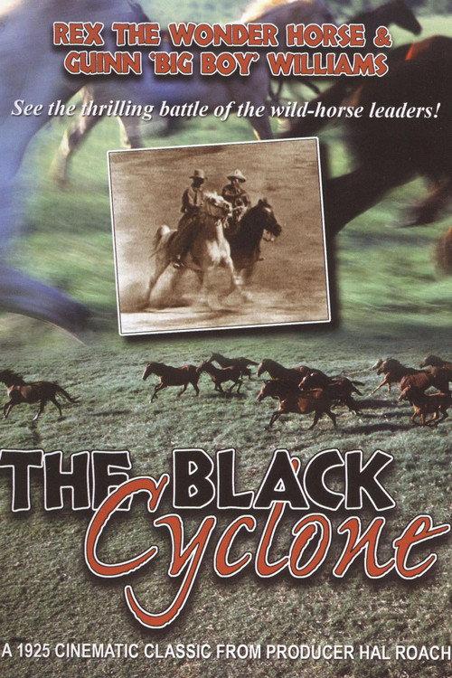 The Black Cyclone 1925 official movie poster