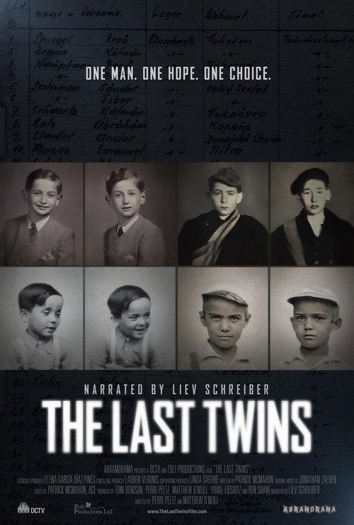 The Last Twins 2025 official movie poster