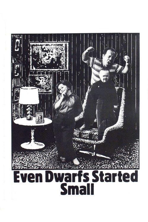 Even Dwarfs Started Small 1971 official movie poster