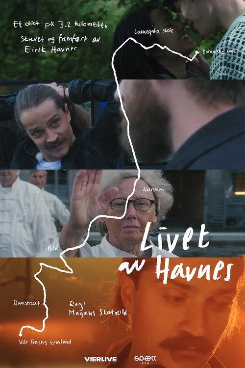 Livet av Havnes 2020 official movie poster