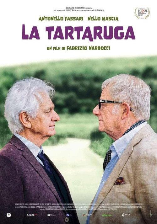 La tartaruga 2024 official movie poster