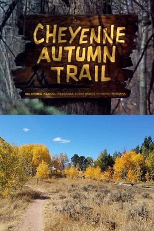 Cheyenne Autumn Trail 1964 official movie poster