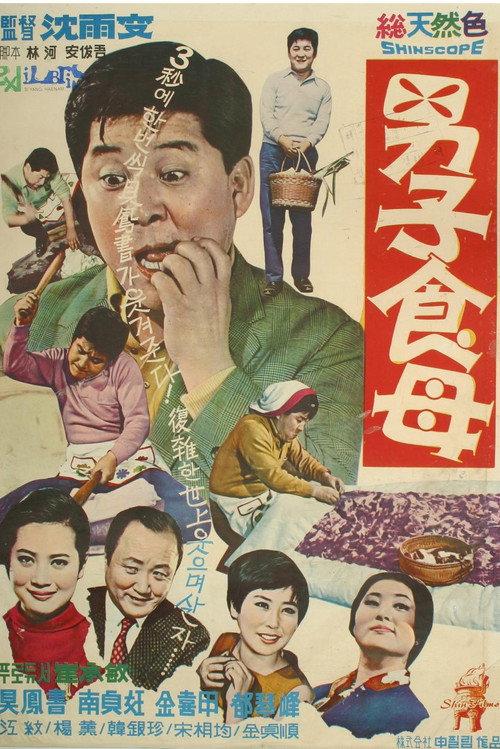 A Male Housekeeper 1968 official movie poster