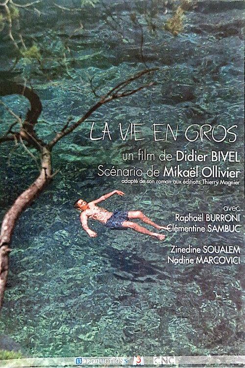 La vie en gros 2002 official movie poster