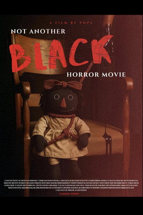 Not Another Black Horror Movie 2025 official movie poster