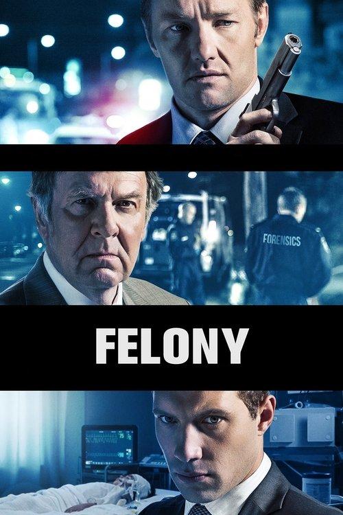 Felony 2014 official movie poster