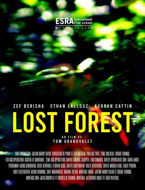 Lost Forest 2022 official movie poster