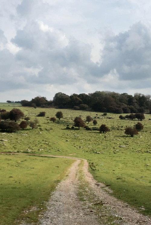 Journey to Avebury 2023 official movie poster