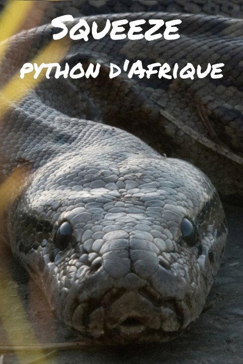 Squeeze: African Python 2017 official movie poster