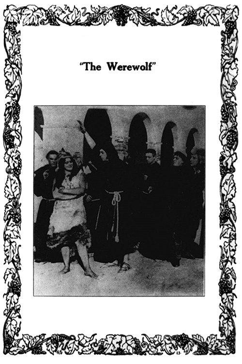The Werewolf 1913 official movie poster
