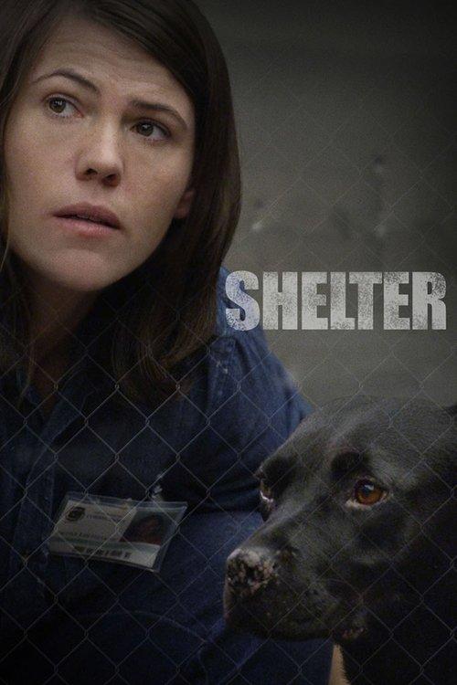 Shelter 2015 official movie poster