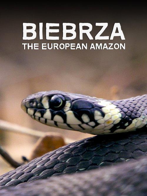 Biebrza: The European Amazon 2016 official movie poster
