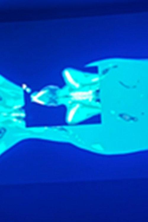 X-Ray Katx 2026 official movie poster